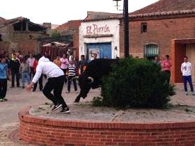 Ataquines: Miles de personas participaron en el «Toro de la Cruz»