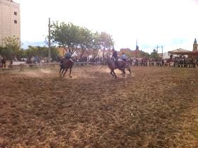 Nava del Rey prepra para este fin de semana la VIII Feria del Caballo