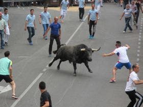 Un herido en el festejo del «Toro de la Feria» 2015