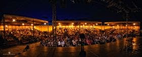 Olmedo: Fernando Cayo levanta el jueves el telón de «Olmedo clásico»