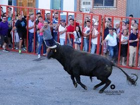 El Carpio: Exitos de público y festejo en el «Toro de Santiago»