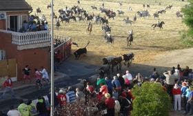 Dos novillos completan el recorrido en el primer encierro de Medina del Campo