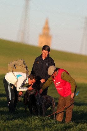 Nava del Rey: Mañana se disputan los cuartos de final del Nacional de Galgos