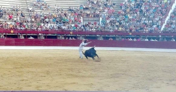 Medina del Campo: Moras gana el Concurso de Cortes ante 4.000 personas