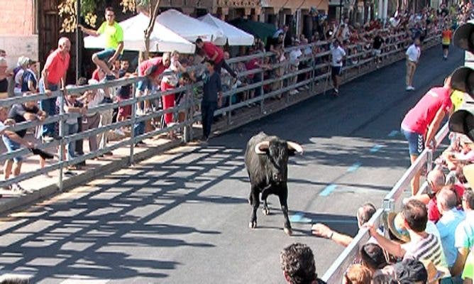 Rápido y limpio «Botijito» toro de la bienvenida