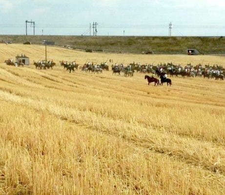 El encierro mixto finalizó con cinco astados en la plaza de toros