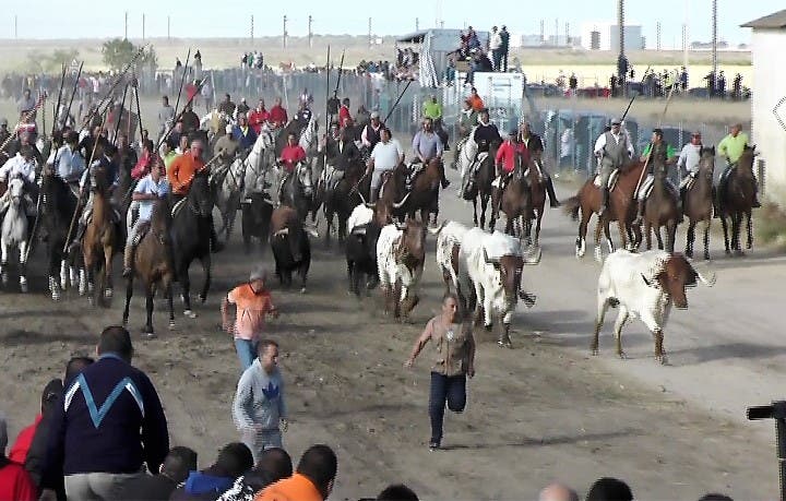 ¿Cuáles son los espectáculos taurinos que se pueden celebrar con las nuevas medidas?