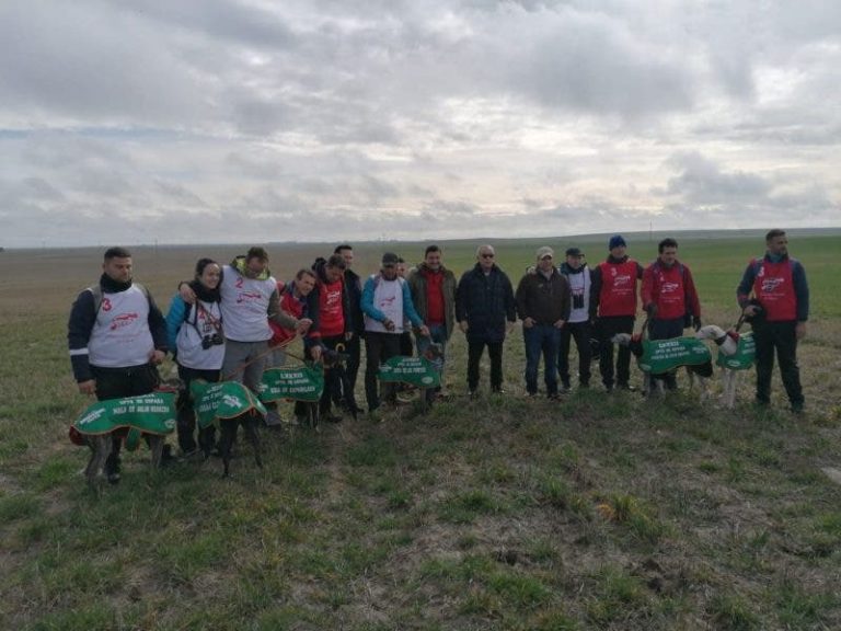 Los galgos Escorpión y Dulce del Rocío clasificados para la semifinal del Campeonato de España de galgos