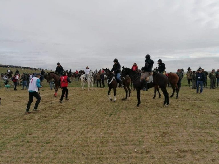 Mañana se celebrará la gran final del Campeonato de España de Galgos