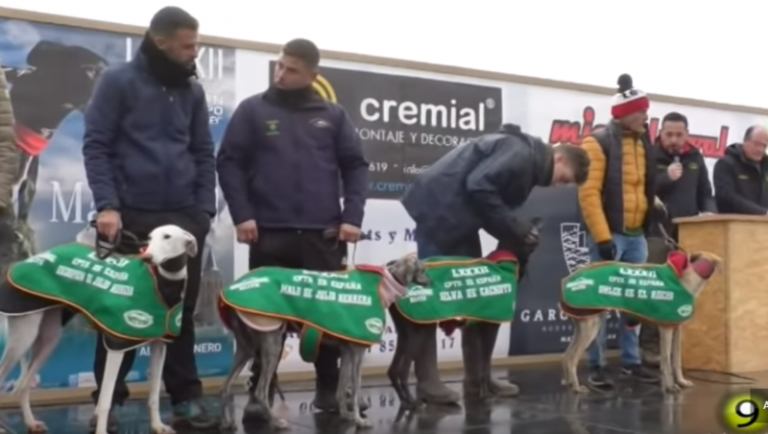 Campeonato de España de Galgos 2020 – Parte 1 Reconocimiento, Sorteo y Previa