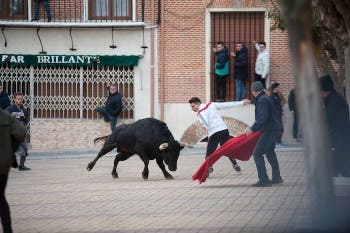 Siete Iglesias de Trabancos: El Toro del Arrope, protagonista de las fiestas de San Sebastián