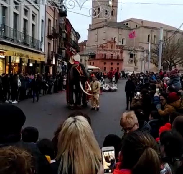 Duras críticas de la Protectora de animales Scooby por la utilización del "Elefante"