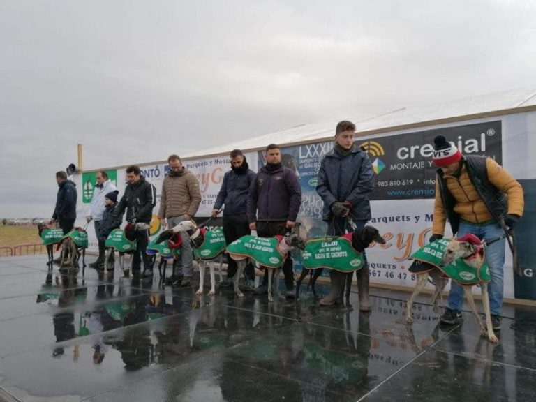 Arranca la competición galguera con cuatro colleras por delante