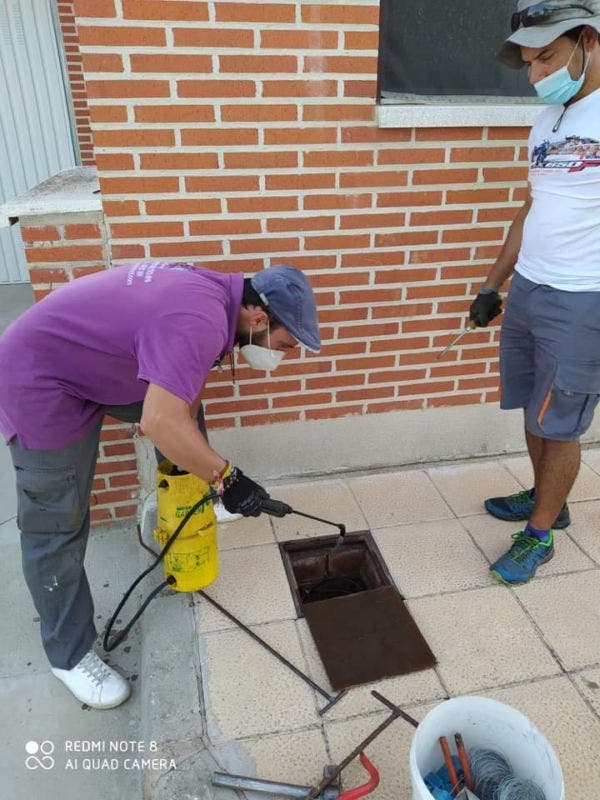 Serrada controla las plagas de ratas y cucarachas