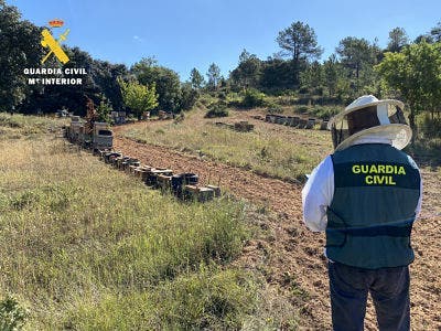 Detenido por robar numerosas colmenas en las provincias de Burgos y Palencia