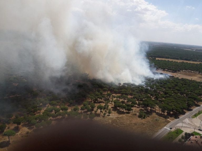 Sofocado un incendio de nivel 1 en Simancas