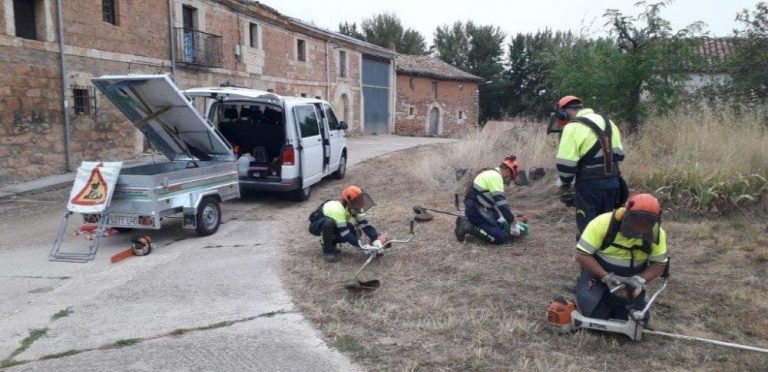 El Plan de Empleo Forestal Local destina más de 5 millones de euros a la contratación de desempleados para dinamizar el sector forestal y el medio rural