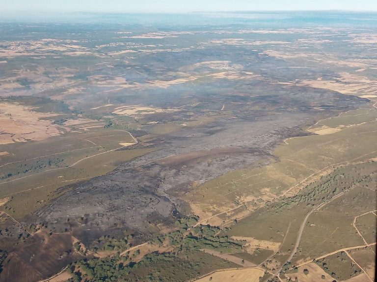 Activo, pero sin llama, el incendio forestal de Gallegos del Río, aún de nivel 2