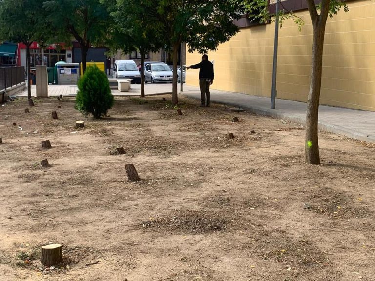 Tordesillas tala los árboles de la zona ajardinada del parking subterráneo por su peligrosidad