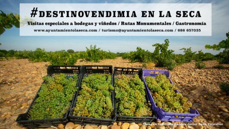 El Ayuntamiento de La Seca aprovecha la época de la vendimia para promocionarse como destino turistico