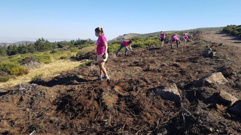 Más de 600 personas han participado en las actividades de voluntariado ambiental en el primer semestre