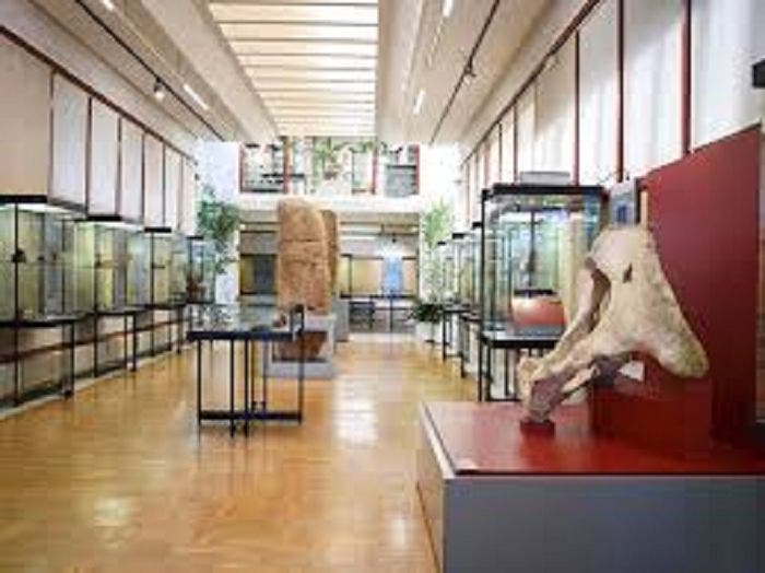 Concluye la celebración del centenario del Museo Numantino con más de 15.500 visitas