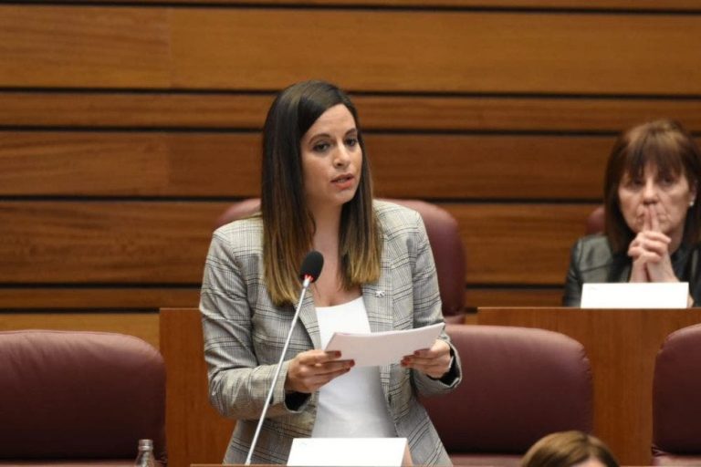 El PSOE abandona la negociación del "cheque servicio"