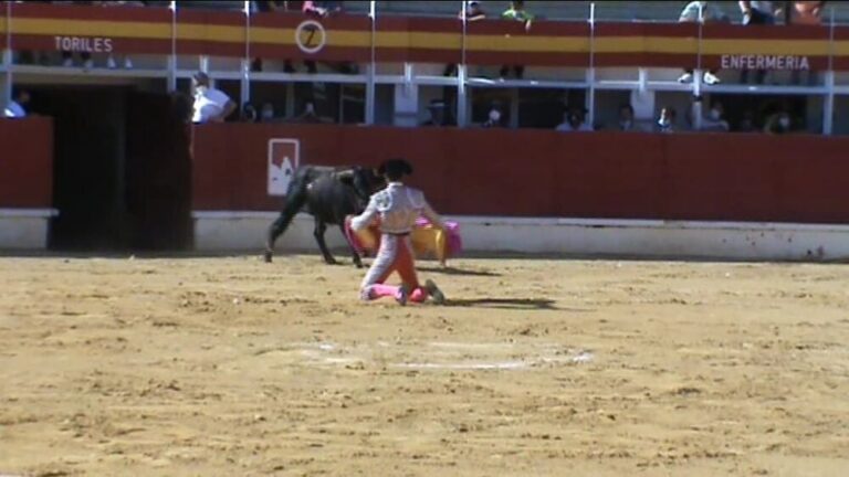 VÍDEO de la tremenda cogida en la novillada de Medina del Campo