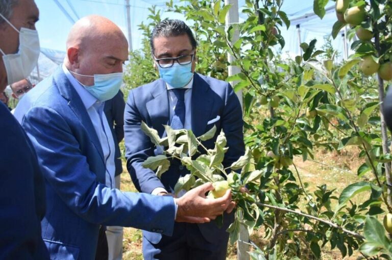 Carnero califica el proyecto de Granjas Camis un ejemplo de modernidad y de futuro en el sector agroalimentario