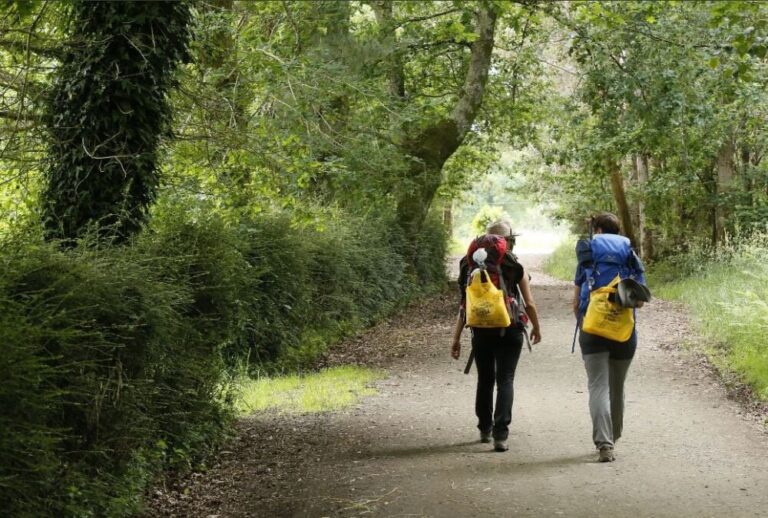 La Junta y Ecoembes retoman la campaña de reciclaje en el Camino de Santiago