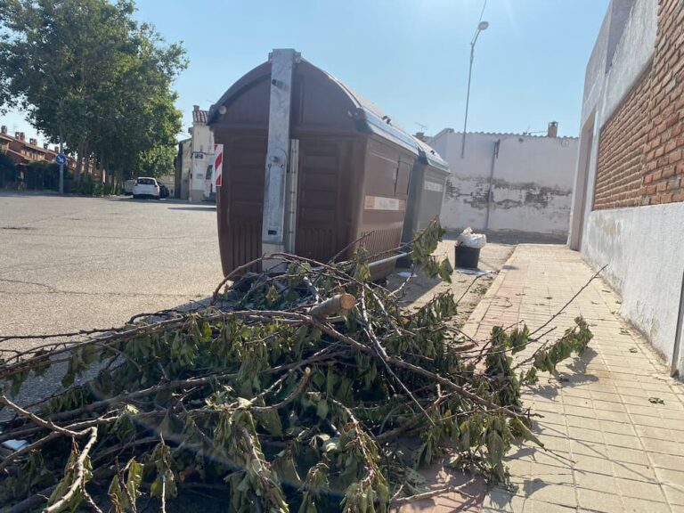 Restos de poda en calle Logroño