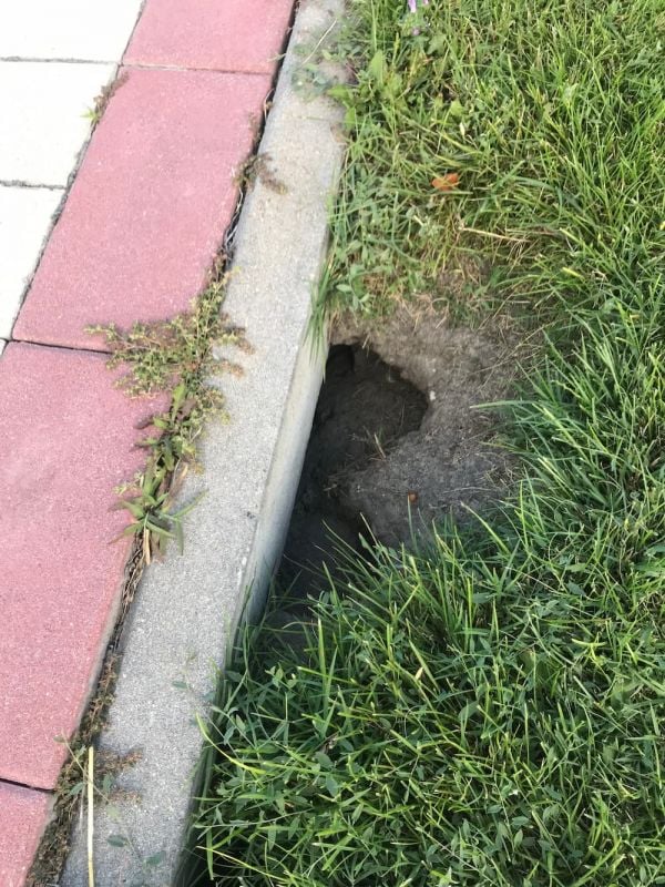 Avenida V Centenario de Isabel la Católica