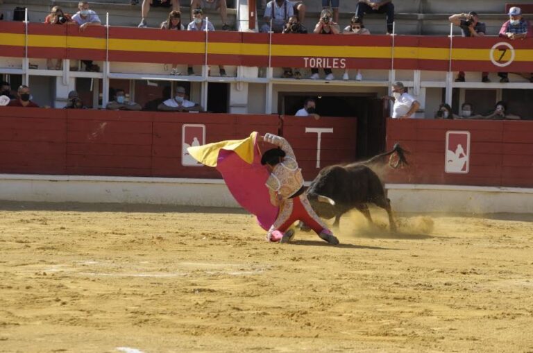 Medina del Campo cierra la fase semifinal del Circuito de Novilladas de Castilla y León