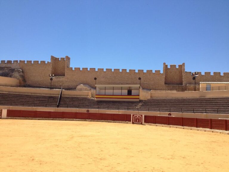 La plaza de Olmedo en el II Circuito de Novilladas sin picadores de Castilla y León