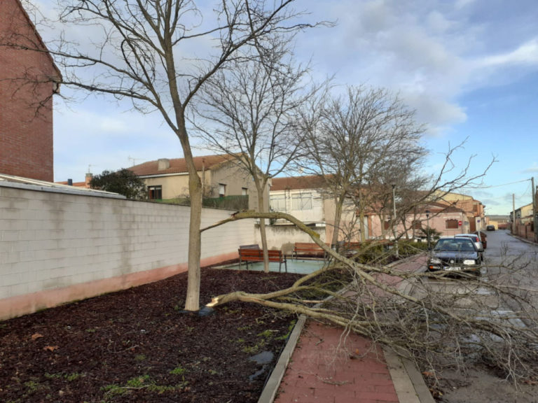Gestionadas más de 200 emergencias producidas por las fuertes rachas de viento en Castilla y León