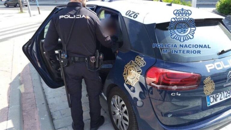 La Policía Nacional detiene a un hombre por incendiar varios contenedores en León