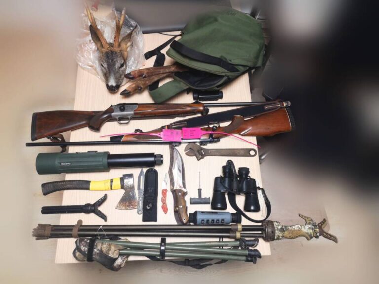 La Guardia Civil de Soria investiga a dos vecinos de San Leonardo de Yagüe por caza furtiva