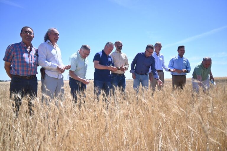 Agricultura, Ganadería y Desarrollo Rural prevén buenos resultados en la cosecha de cereal de invierno de Castilla y León