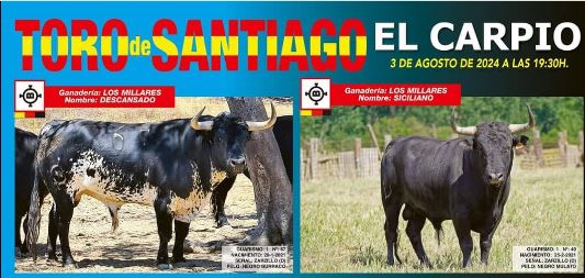 El Carpio se prepara para el «Toro de Santiago» el próximo 3 de agosto