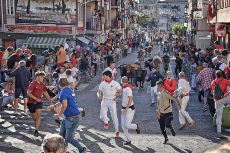 Los encierros de Cuéllar contarán con ganaderías de renombre