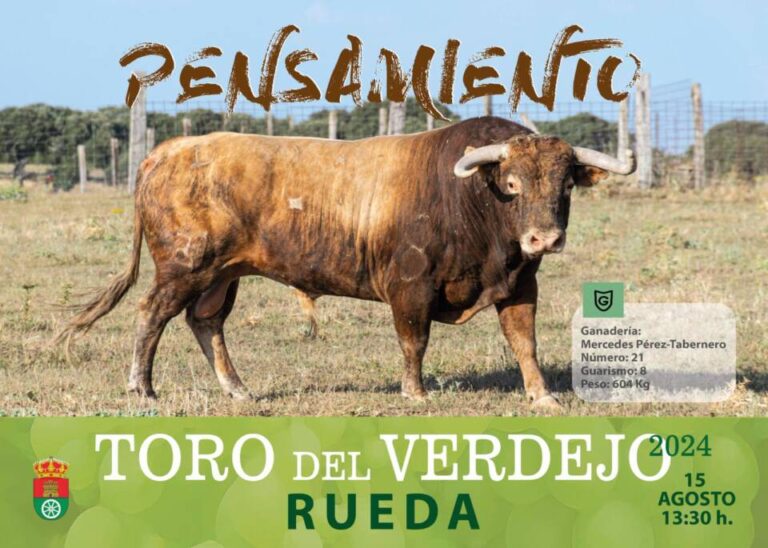 ‘Pensamiento’ se convertirá en el «Toro del Verdejo» en las fiestas de Rueda