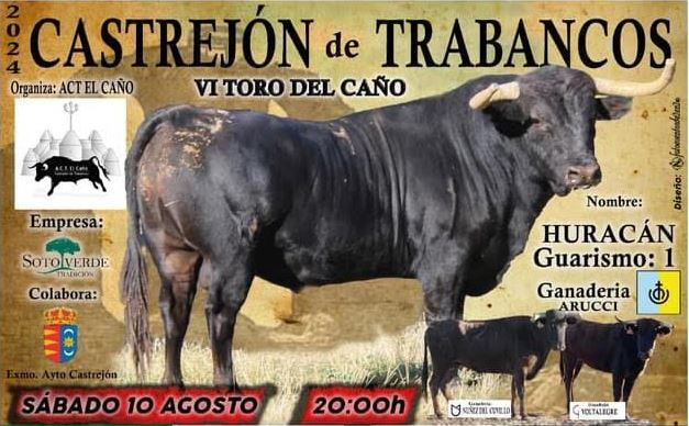 Todo listo en Castrejón de Trabancos para el VI Toro de «El Caño»