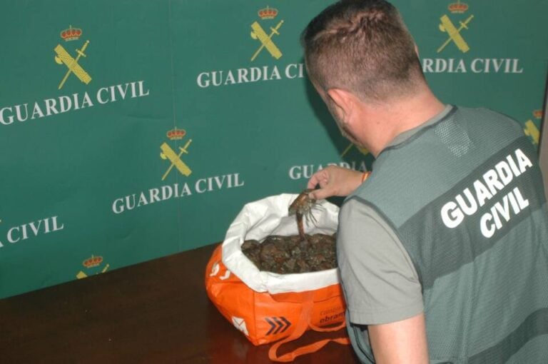 Detenidas dos personas en Soria por comercializar cangrejo señal a restaurantes
