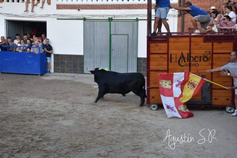 Ángel Gómez, presidente de la A.C.T. El Caño: «El esfuerzo ha merecido la pena por el gran resultado del VI Toro de El Caño»