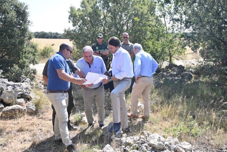 Castilla y León avanza en la reintroducción del lince ibérico con una inversión de casi 2 millones hasta 2026