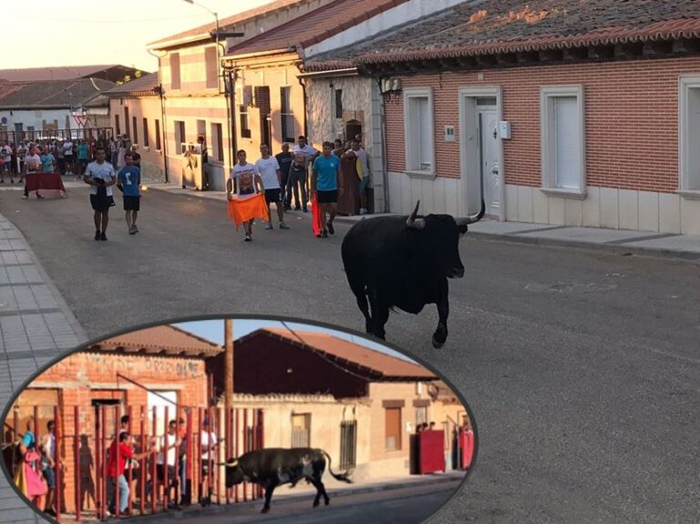 El Toro de Santiago no defrauda en El Carpio