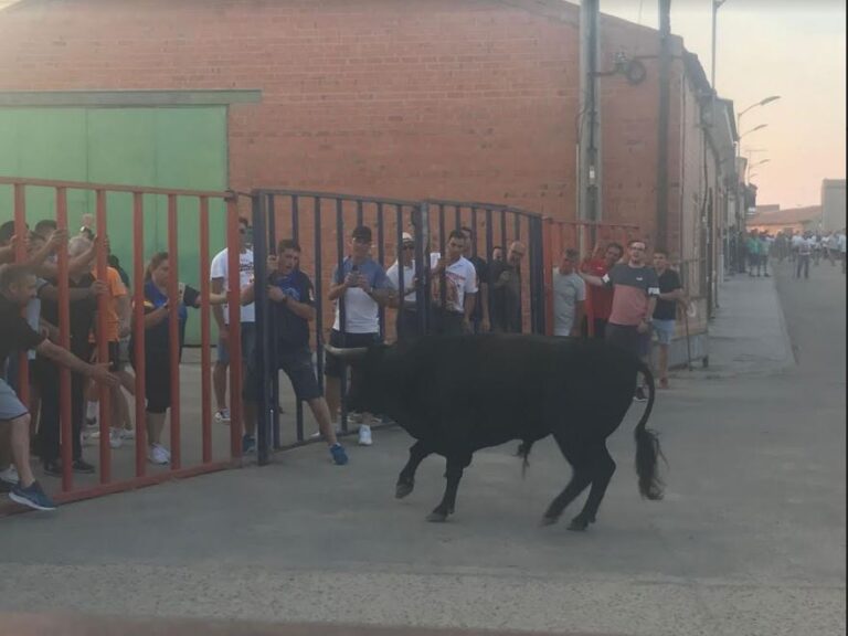 El Carpio cuenta las horas para el Toro de Santiago