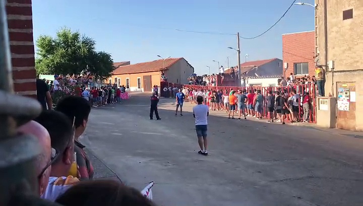 Toro de Santiago 2024 – El Carpio (Valladolid)