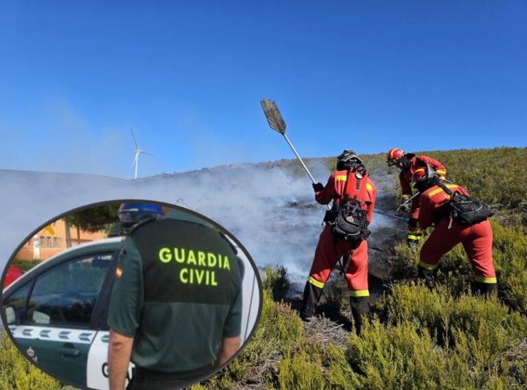 Investigado un apicultor como presunto responsable del incendio forestal en Brañuelas (León)