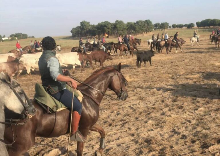 Onda Medina celebra este 6 de septiembre la tradicional tertulia de los encierros de San Antolín